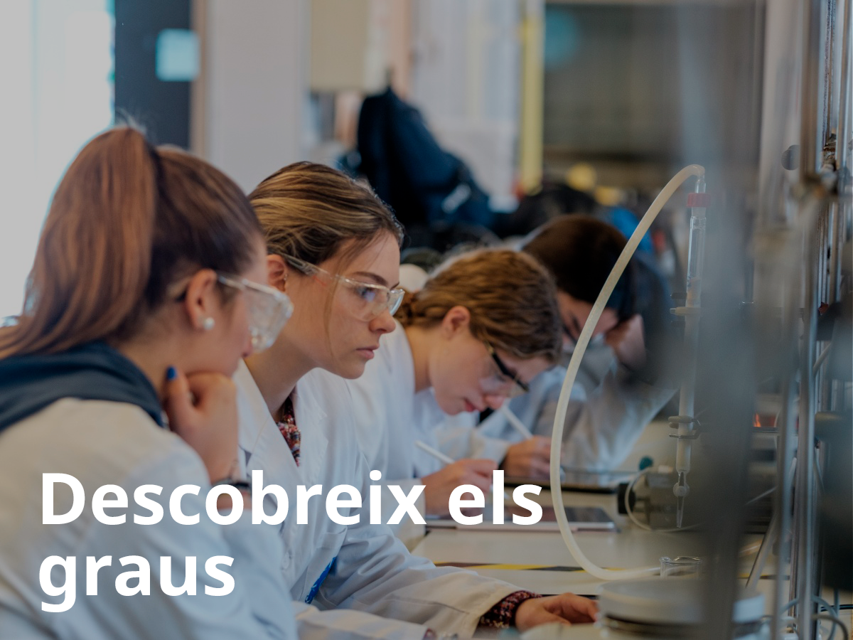 descobreix els graus etseq